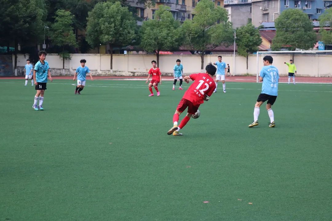 IMG_4178.JPG 图片