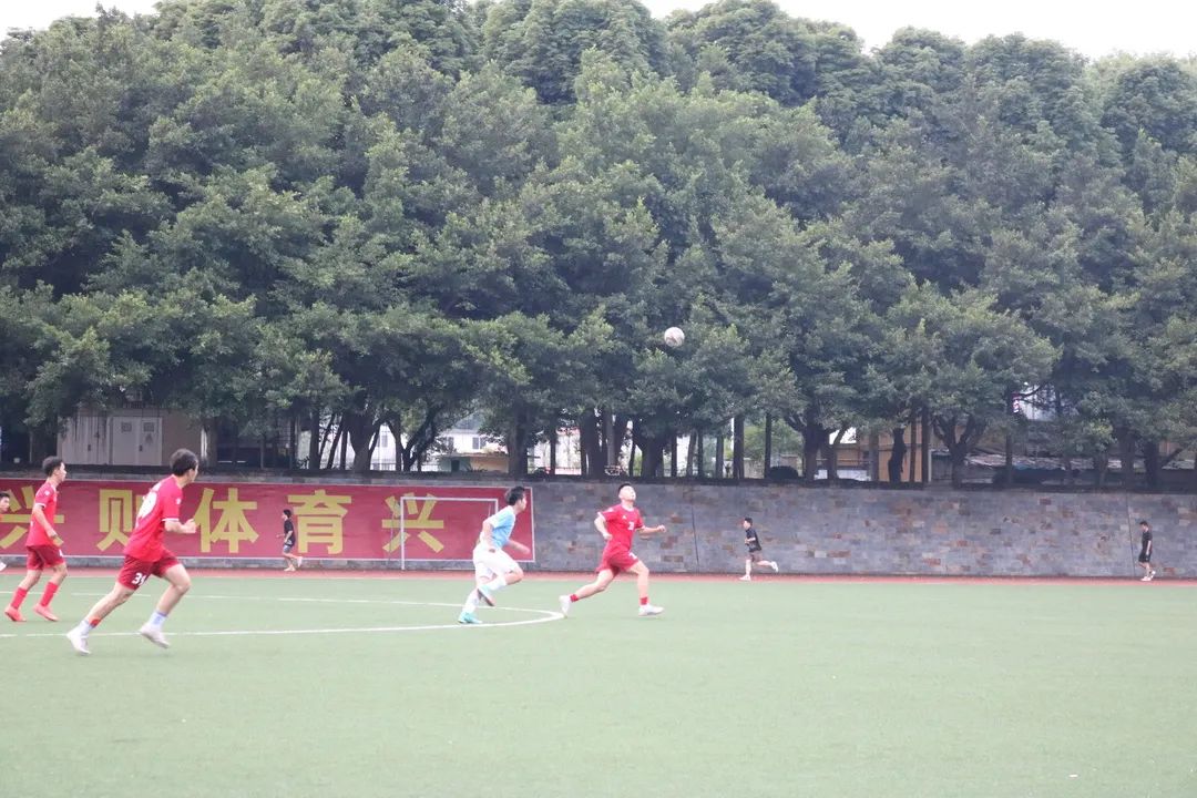 IMG_4183.JPG 图片