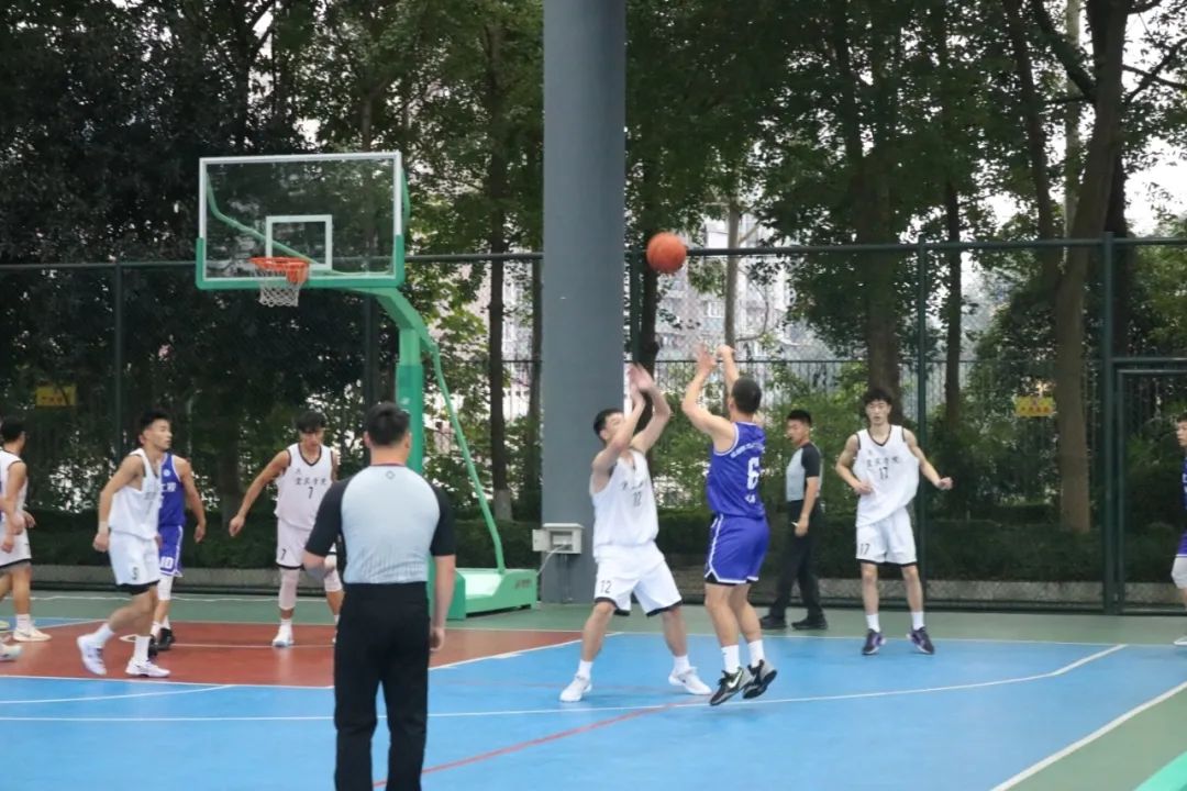 mmexport1731388500073.jpg 图片