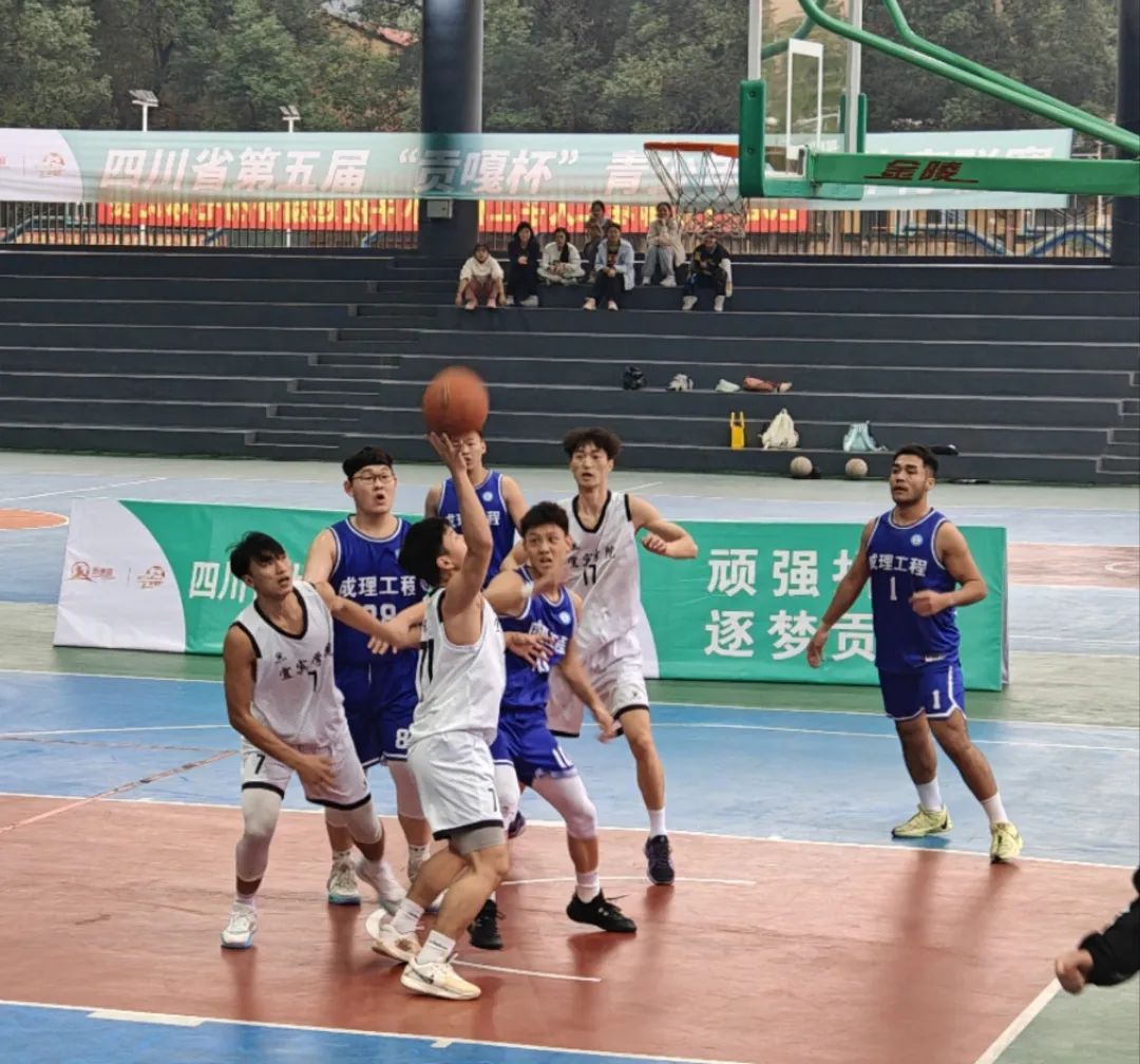 mmexport1731388569716.jpg 图片