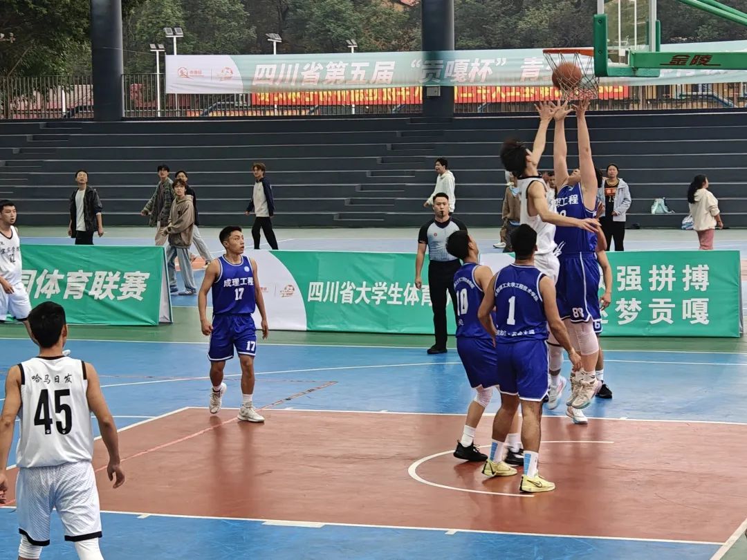 mmexport1731388573886.jpg 图片