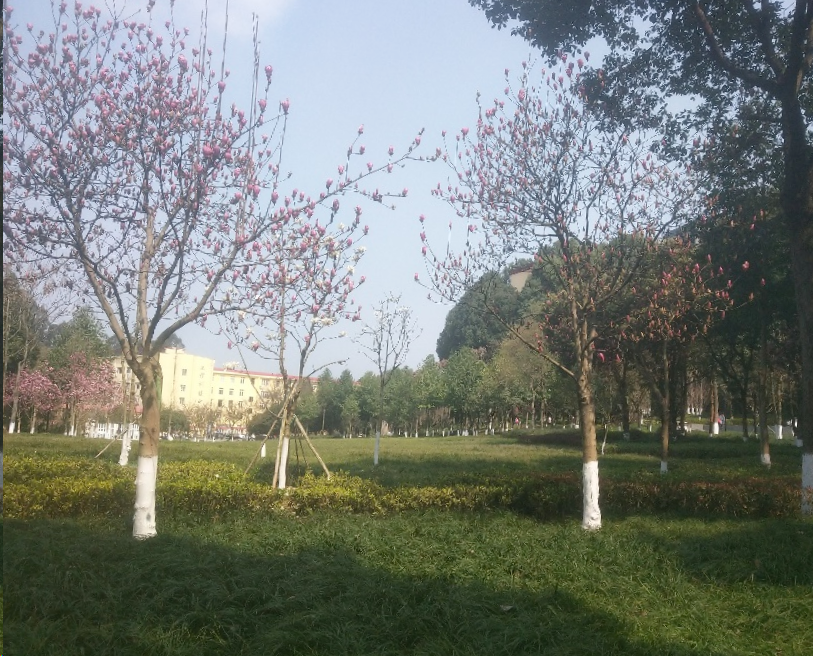 1703135621132017130.png