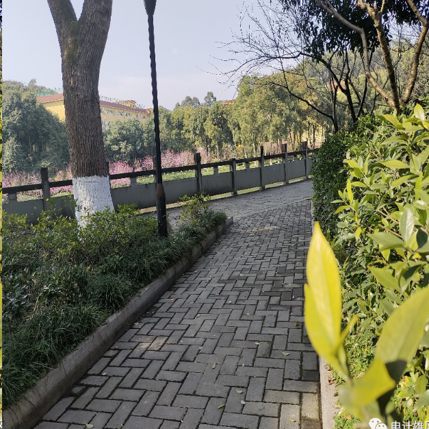 1703135965293009432.png