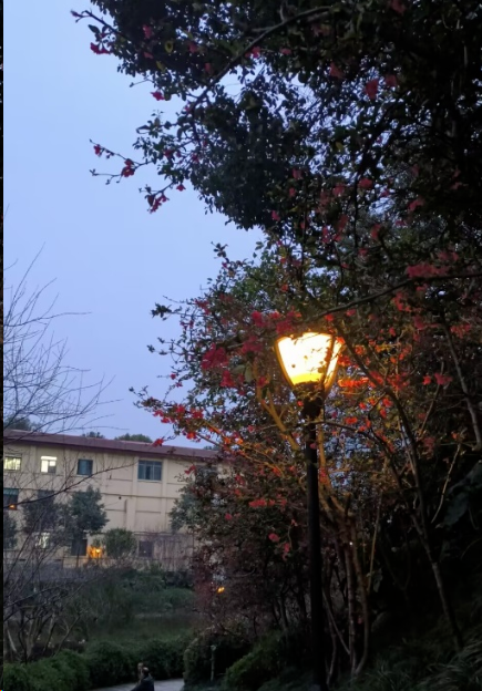 1703150648001010656.png